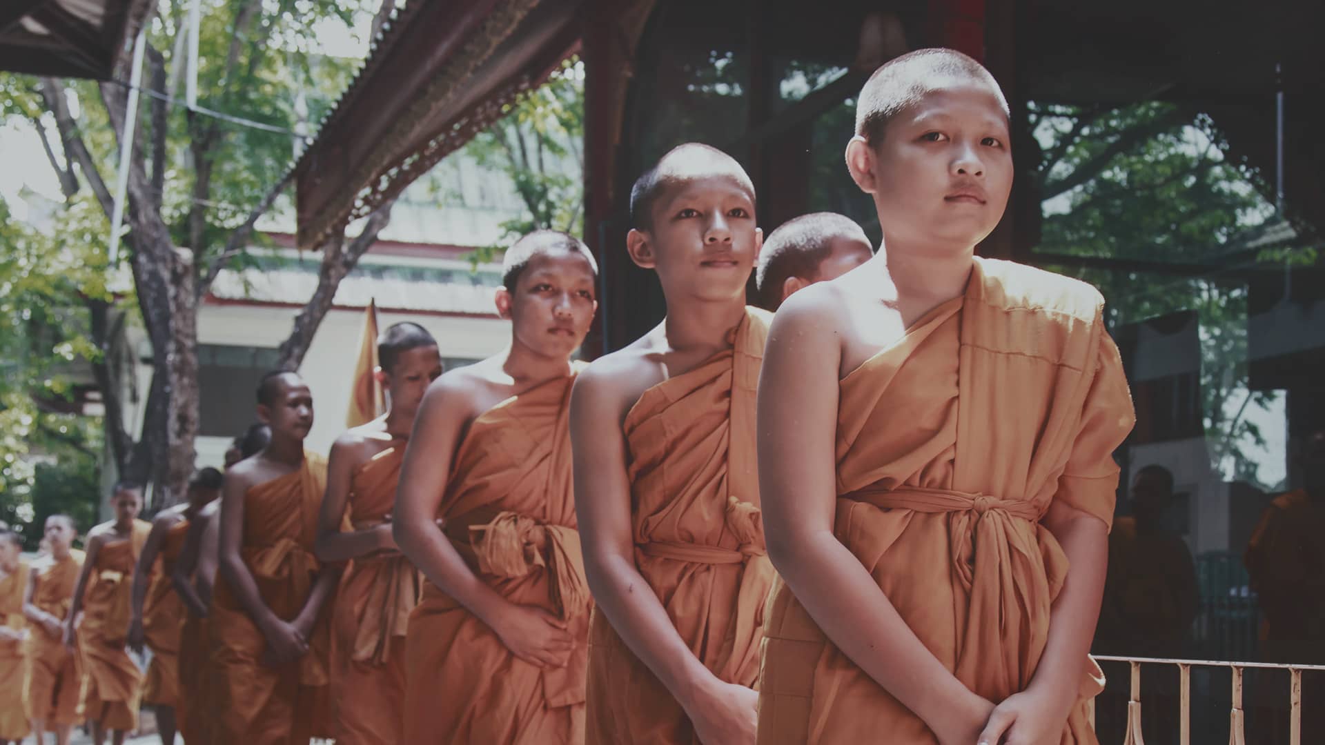 5 voluntariados en Tailandia que no te puedes perder